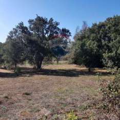 Foto Terreno agricolo in vendita a Aprilia