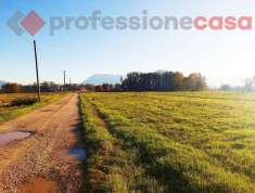 Foto Terreno agricolo in vendita a Aquino