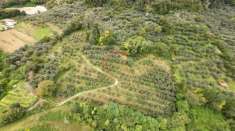 Foto Terreno agricolo in vendita a Arco