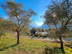 Foto Terreno agricolo in vendita a Arco