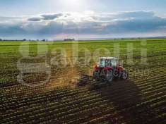 Foto Terreno agricolo in vendita a Ariano Nel Polesine