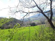 Foto Terreno agricolo in Vendita a Assisi