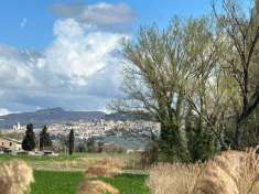 Foto Terreno agricolo in vendita a Assisi