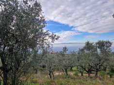 Foto Terreno agricolo in vendita a Assisi