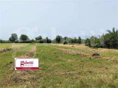 Foto Terreno agricolo in vendita a Avezzano