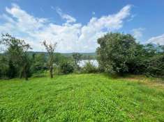Foto Terreno agricolo in vendita a Avigliana
