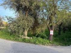 Foto Terreno agricolo in vendita a Avola
