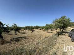 Foto Terreno agricolo in vendita a Avola