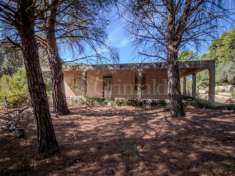 Foto Terreno agricolo in vendita a Avola