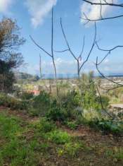 Foto Terreno agricolo in vendita a Bacoli