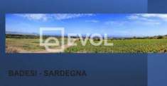 Foto Terreno Agricolo in vendita a Badesi