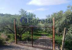 Foto Terreno agricolo in vendita a Bagheria