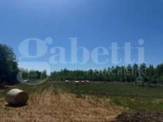 Foto Terreno agricolo in vendita a Baia E Latina