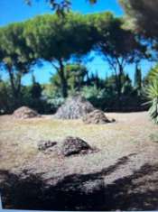 Foto Terreno agricolo in vendita a Baratti - Piombino 2400 mq  Rif: 1312831