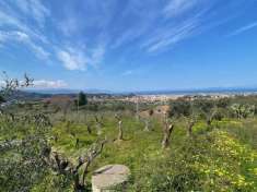 Foto Terreno agricolo in vendita a Barcellona Pozzo Di Gotto