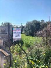 Foto Terreno agricolo in vendita a Bari