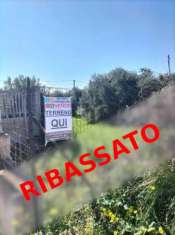Foto Terreno agricolo in vendita a Bari