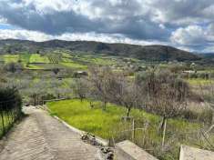 Foto Terreno agricolo in vendita a Basico'