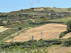Foto Terreno agricolo in vendita a Basico'
