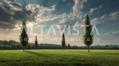 Foto Terreno agricolo in Vendita a Bedizzole
