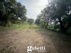 Foto Terreno agricolo in vendita a Bellona