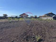 Foto Terreno agricolo in vendita a Belpasso