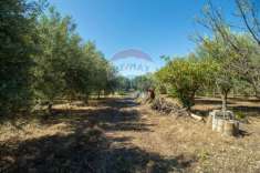Foto Terreno agricolo in vendita a Belpasso