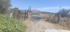 Foto Terreno agricolo in vendita a Belpasso