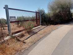 Foto Terreno agricolo in vendita a Belpasso