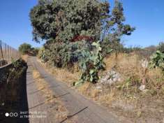 Foto Terreno agricolo in vendita a Belpasso