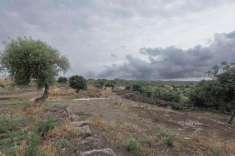 Foto Terreno agricolo in vendita a Belpasso
