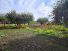 Foto Terreno agricolo in vendita a Belpasso