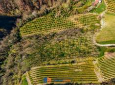 Foto Terreno agricolo in vendita a Belvedere Langhe