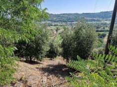 Foto Terreno agricolo in vendita a Benevento