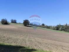 Foto Terreno agricolo in vendita a Benevento