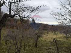 Foto Terreno agricolo in vendita a Biancavilla
