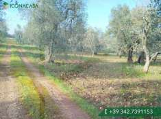 Foto Terreno agricolo in vendita a Bitonto