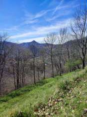 Foto Terreno agricolo in vendita a Blessagno