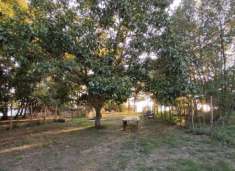 Foto Terreno agricolo in vendita a Bolsena