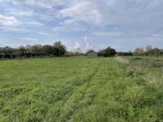 Foto Terreno agricolo in vendita a Bolsena