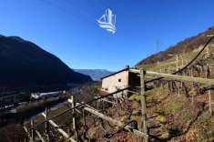Foto Terreno agricolo in vendita a Bolzano