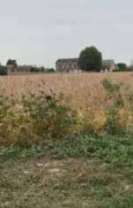 Foto Terreno agricolo in Vendita a Bonavigo