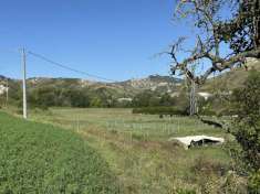 Foto Terreno agricolo in vendita a Borgo Tossignano