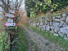 Foto Terreno agricolo in vendita a Brentonico