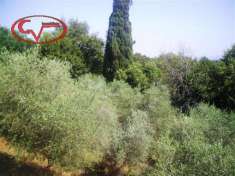 Foto Terreno agricolo in vendita a Bucine