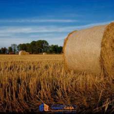 Foto Terreno agricolo in vendita a Busca