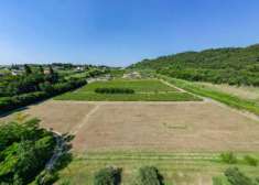 Foto Terreno agricolo in Vendita a Bussolengo Bussolengo