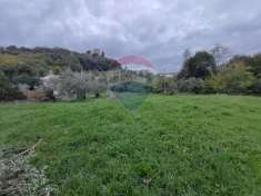 Foto Terreno agricolo in vendita a Caiazzo