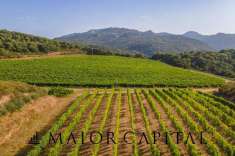 Foto Terreno agricolo in vendita a Calangianus