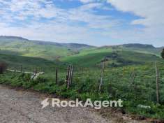 Foto Terreno agricolo in vendita a Calascibetta